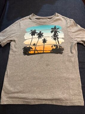 Boys' Gray Short-Sleeve Tee with Sunset Palm Print